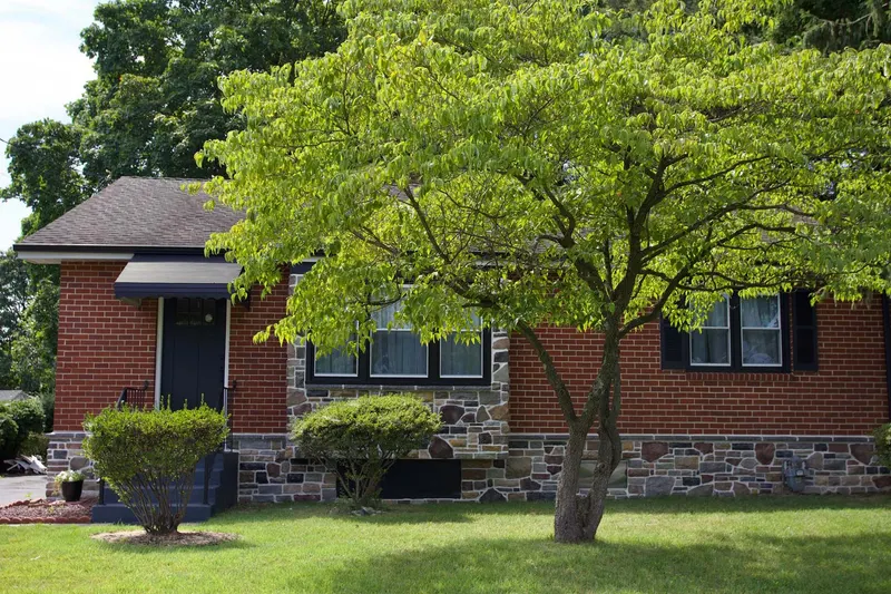 Cediva Stone Work stone veneer project 27
